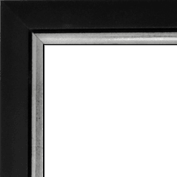 Schwarz Silber